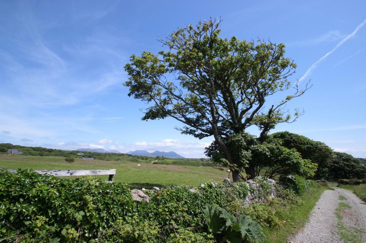 Island View Townhouses Clifden Dış mekan fotoğraf